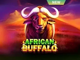 African Buffalo 2
